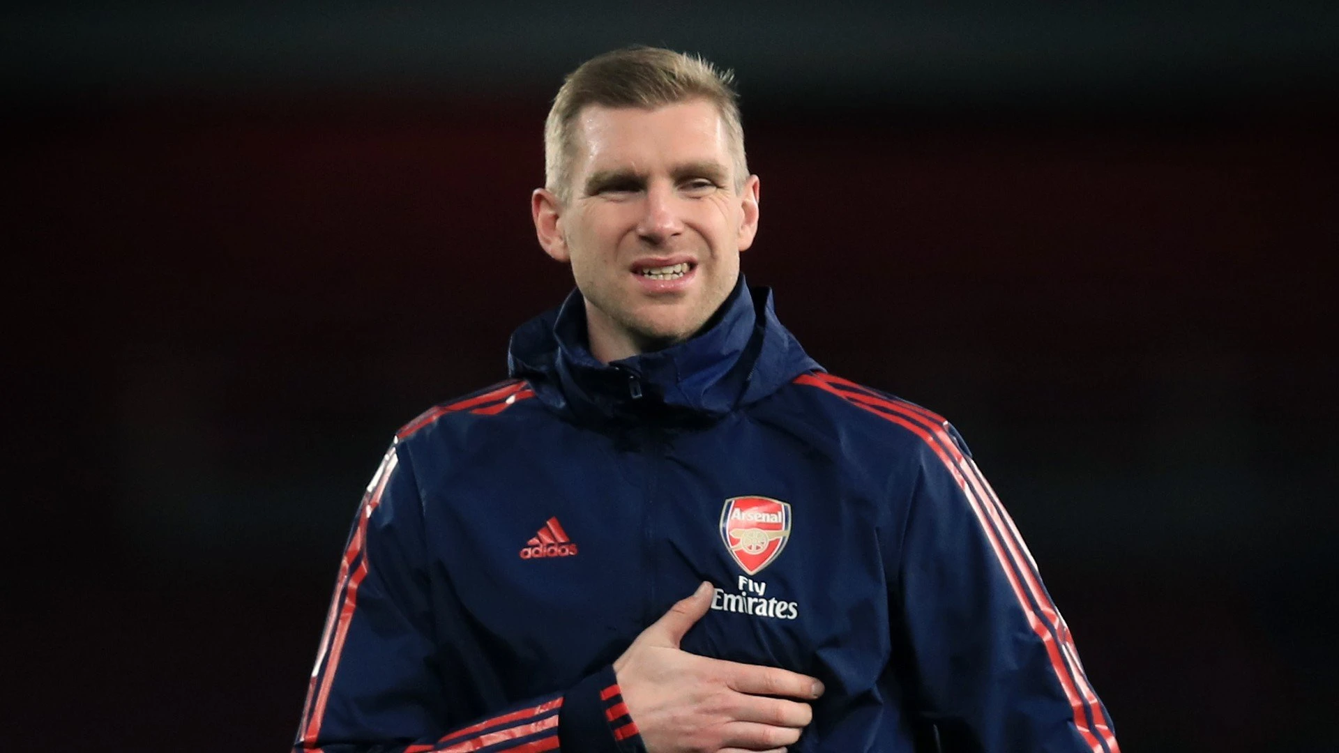 mertesacker.jpg