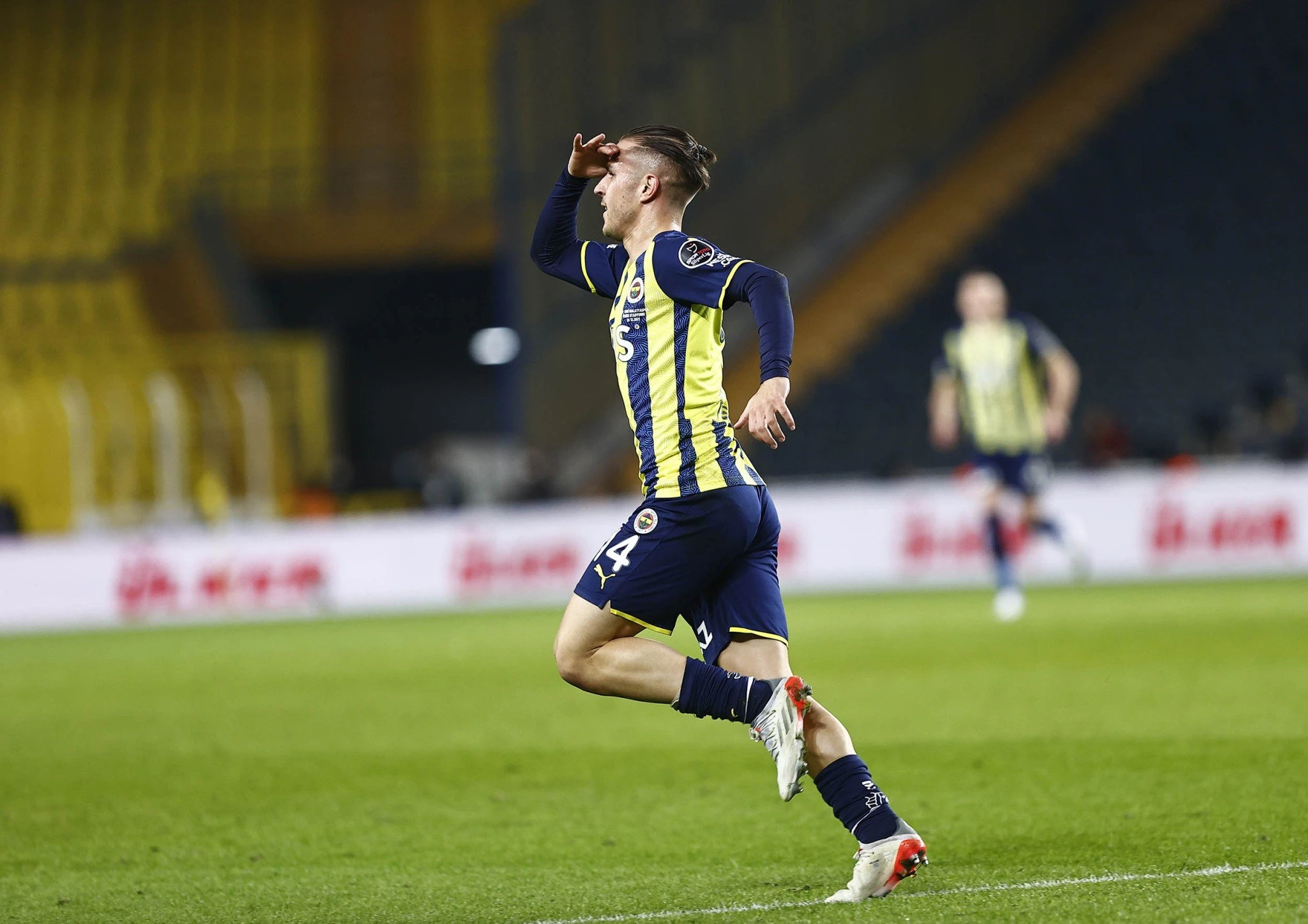 pelkas2-fener.jpg