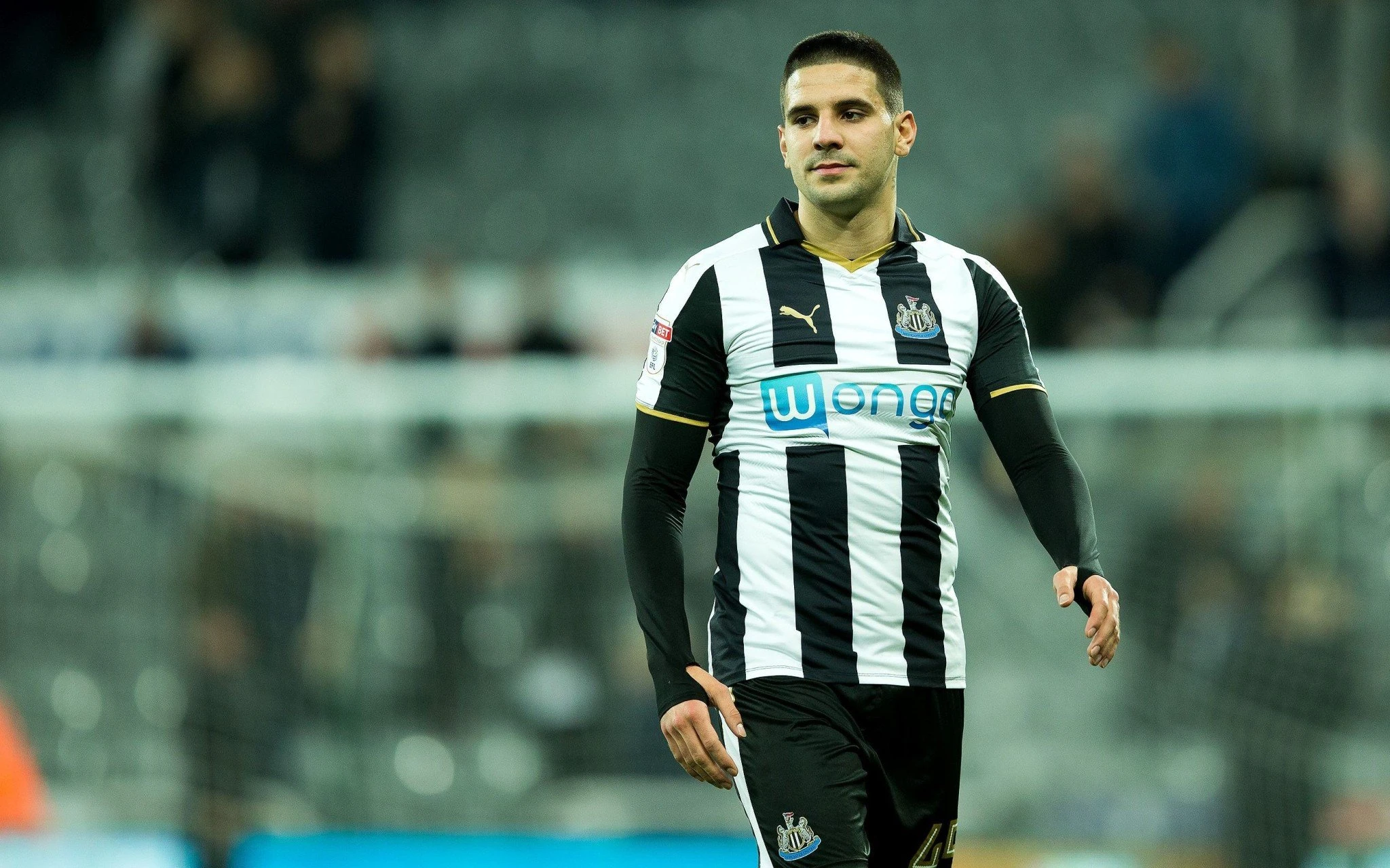 newcastle-mitrovic.jpg