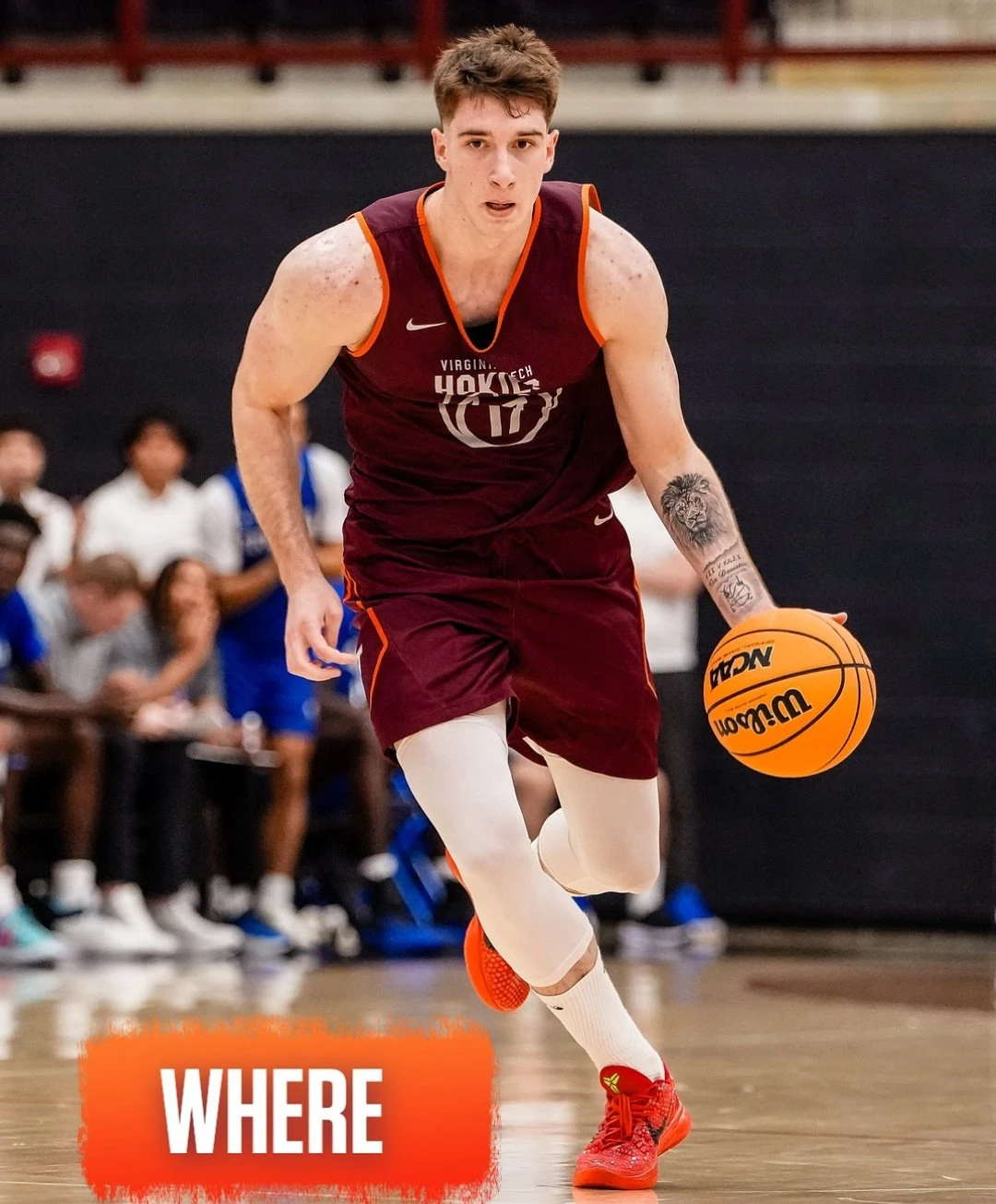 g3s5c-wwaaex8ic.jfif