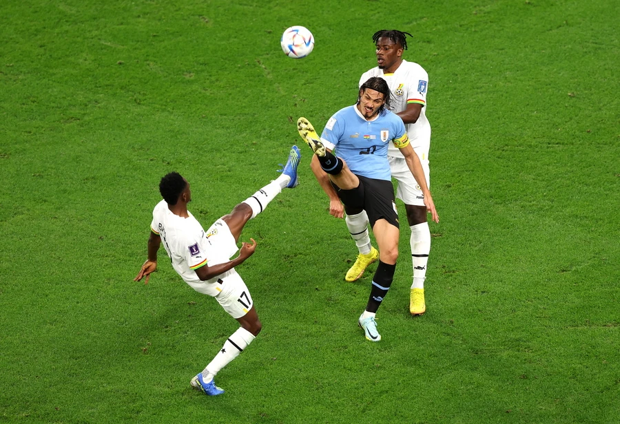 baba-cavani.jpg