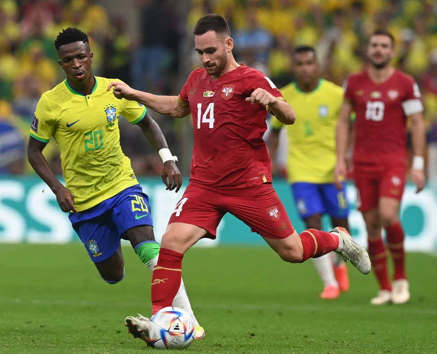 zivkovic-vinicius.jpg?v=0