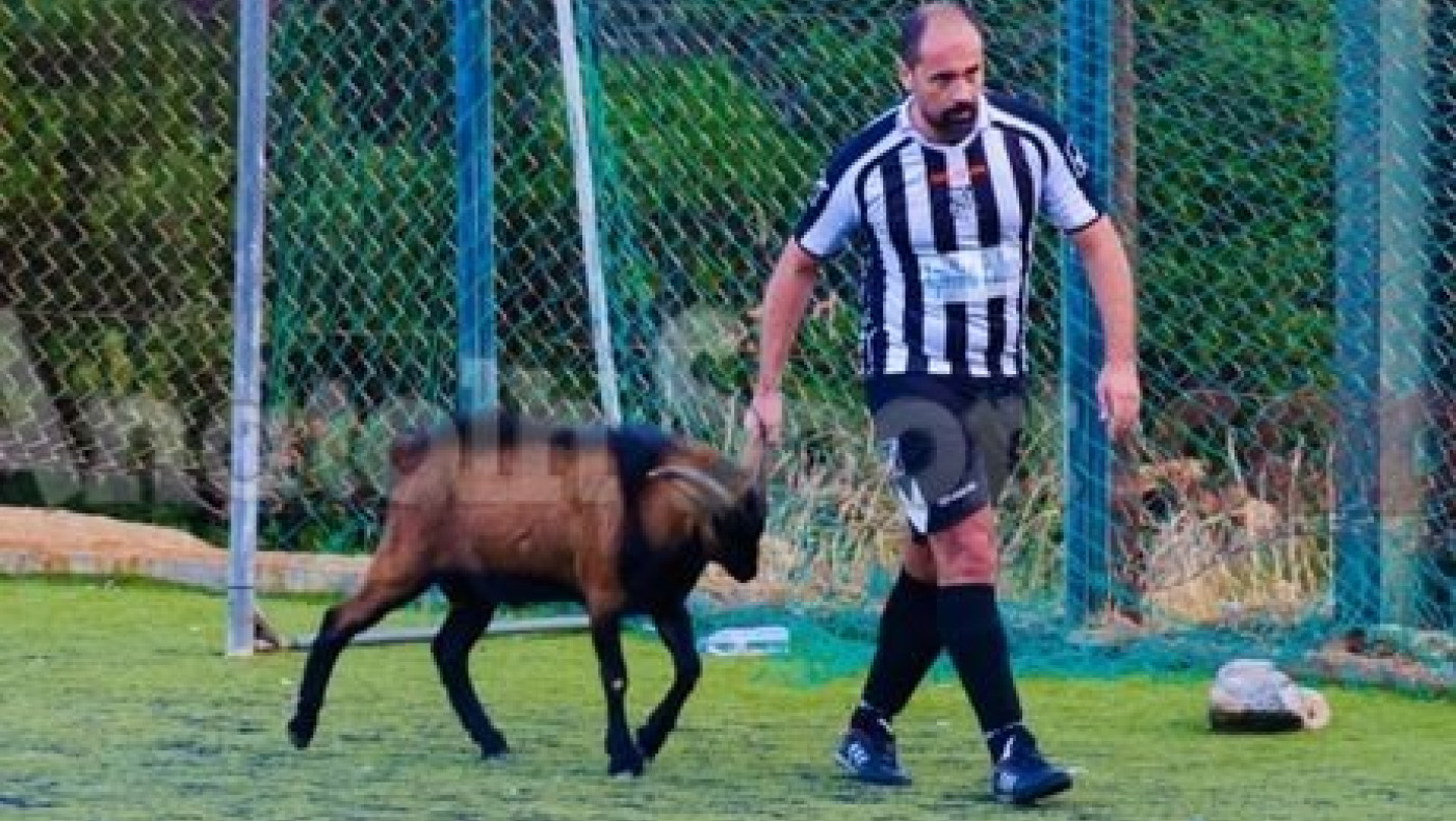 Τράγος εισβάλλει σε γήπεδο! (VIDEO)