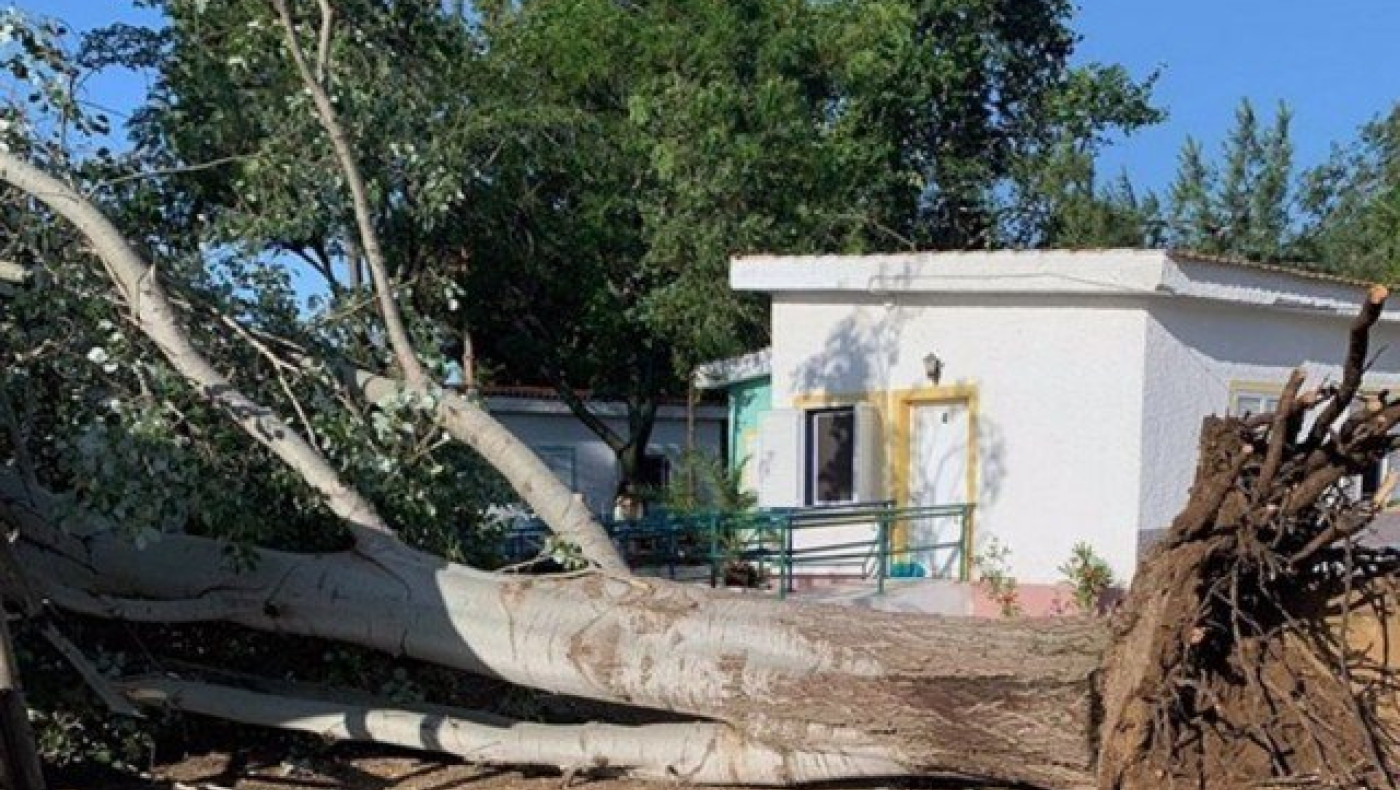 Νέα Πέραμος: Ανεμοστρόβιλος ξερίζωσε δέντρα σε κατασκηνώσεις (ΦΩΤΟ)
