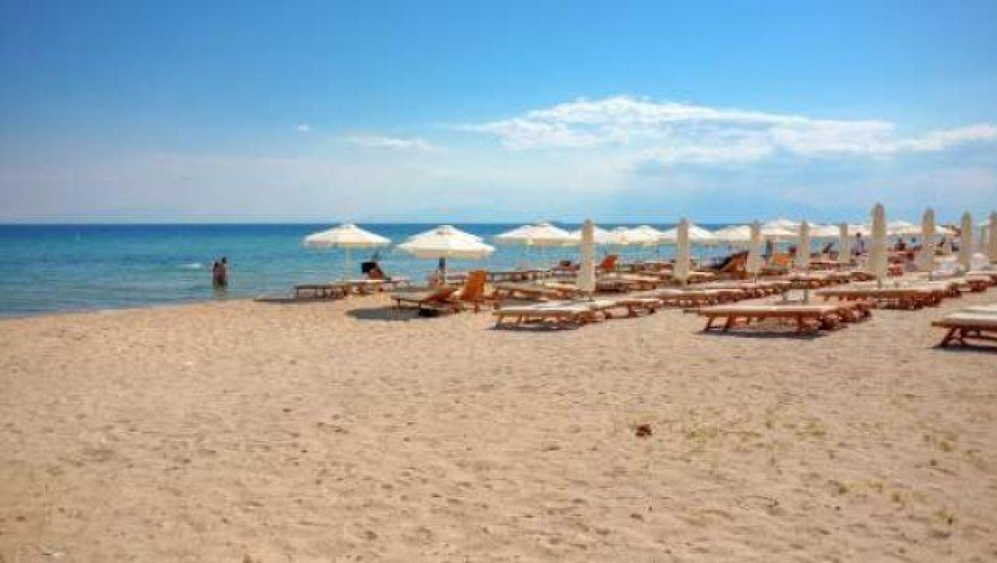 Χαλκιδική: Βρέθηκε δελφίνι σε κατάσταση αποσύνθεσης (pic)