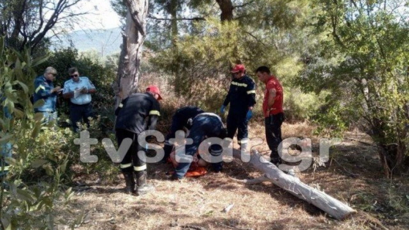 Κορμός καταπλάκωσε γυναίκα τραυματίζοντάς τη σοβαρά στο κεφάλι!