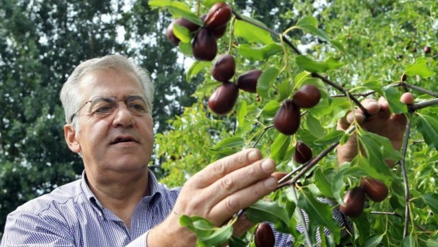 Χυδαία επίθεση Δραμινού πρώην βουλευτή της ΝΔ σε Σαββίδη!