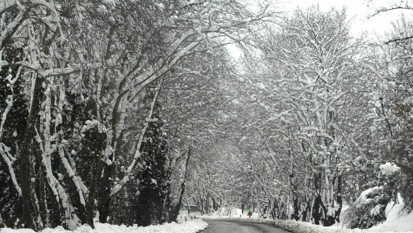 Σέρρες: Σφοδρή χιονόπτωση «εγκλώβισε» οδηγούς στον Λαϊλιά-Στο σημείο εκχιονιστικά και Πυροσβεστική