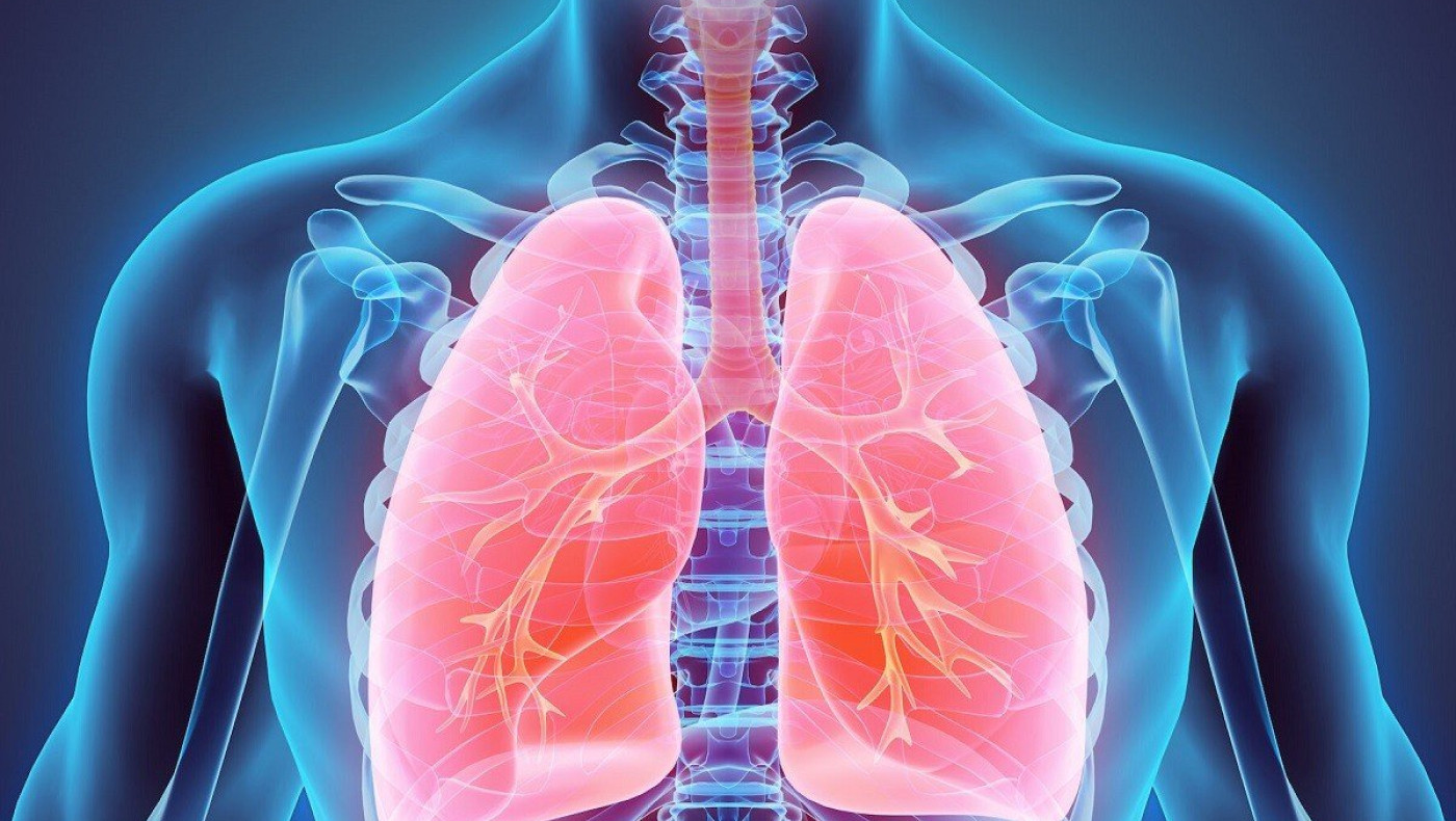 Με ποιες τροφές καθαρίζουν οι πνεύμονες