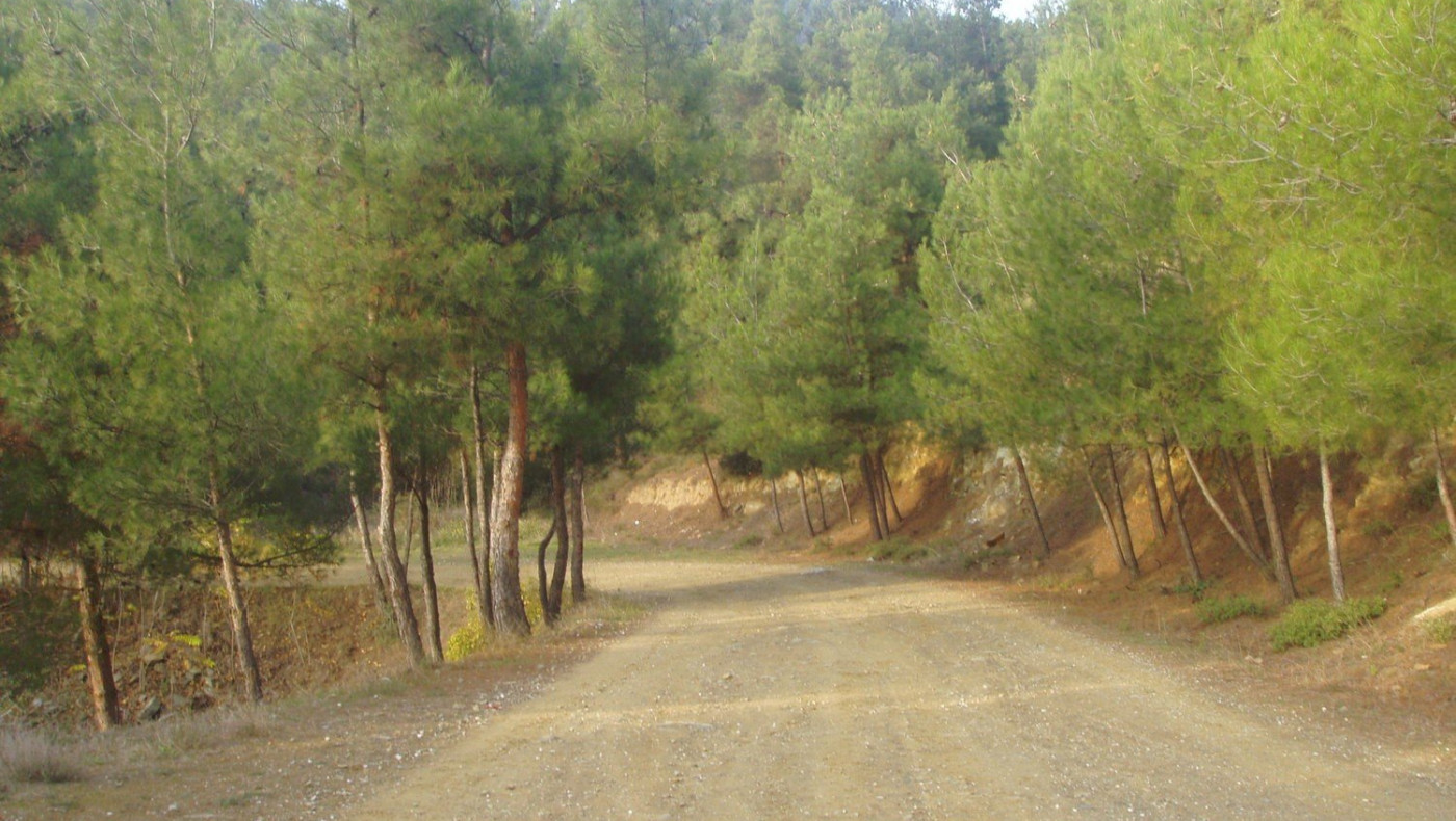 Κλείνει το Σέιχ Σου λόγω κορωνοϊού ο Τζιτζικώστας!