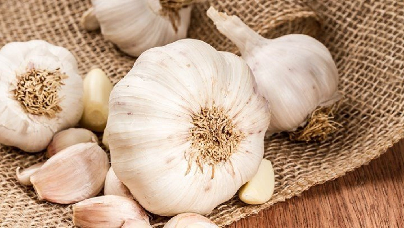 «Δώσαμε 40 τόνους σκόρδα σε ένα μήνα, γι' αυτό το ψάχνουν οι Έλληνες»