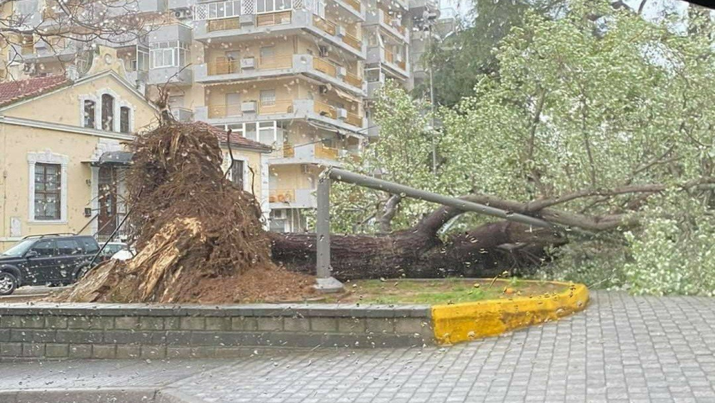 Έπεσαν δέντρα, ανατράπηκαν φορτηγά από την κακοκαιρία στην Ξάνθη