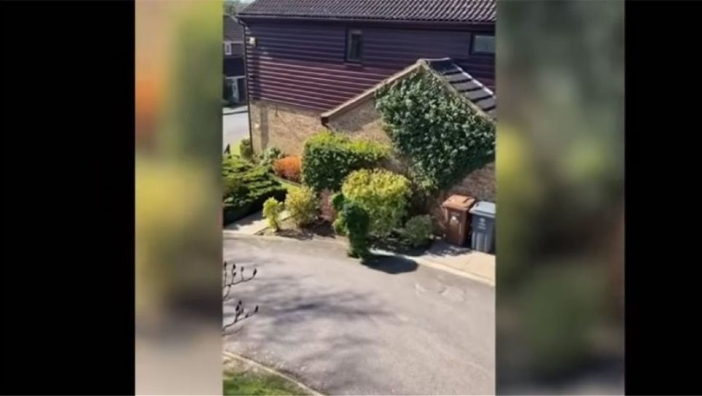 Βρετανός ντύθηκε θάμνος και «έσπασε» την καραντίνα