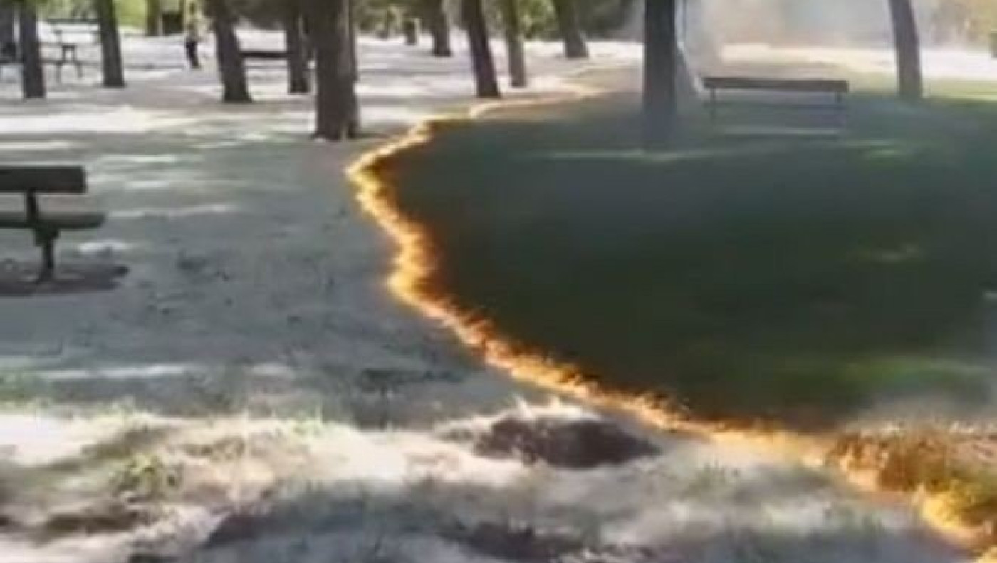 Φωτιά-μυστήριο σε πάρκο στην Ισπανία