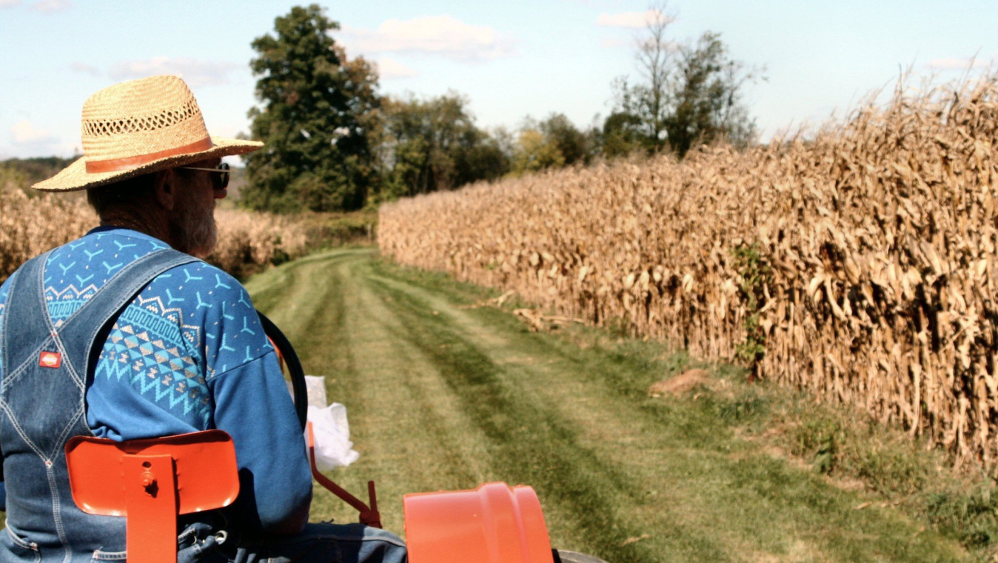 ΟΑΕΔ: Και επίδομα ανεργίας και εργασία στον αγροτικό τομέα