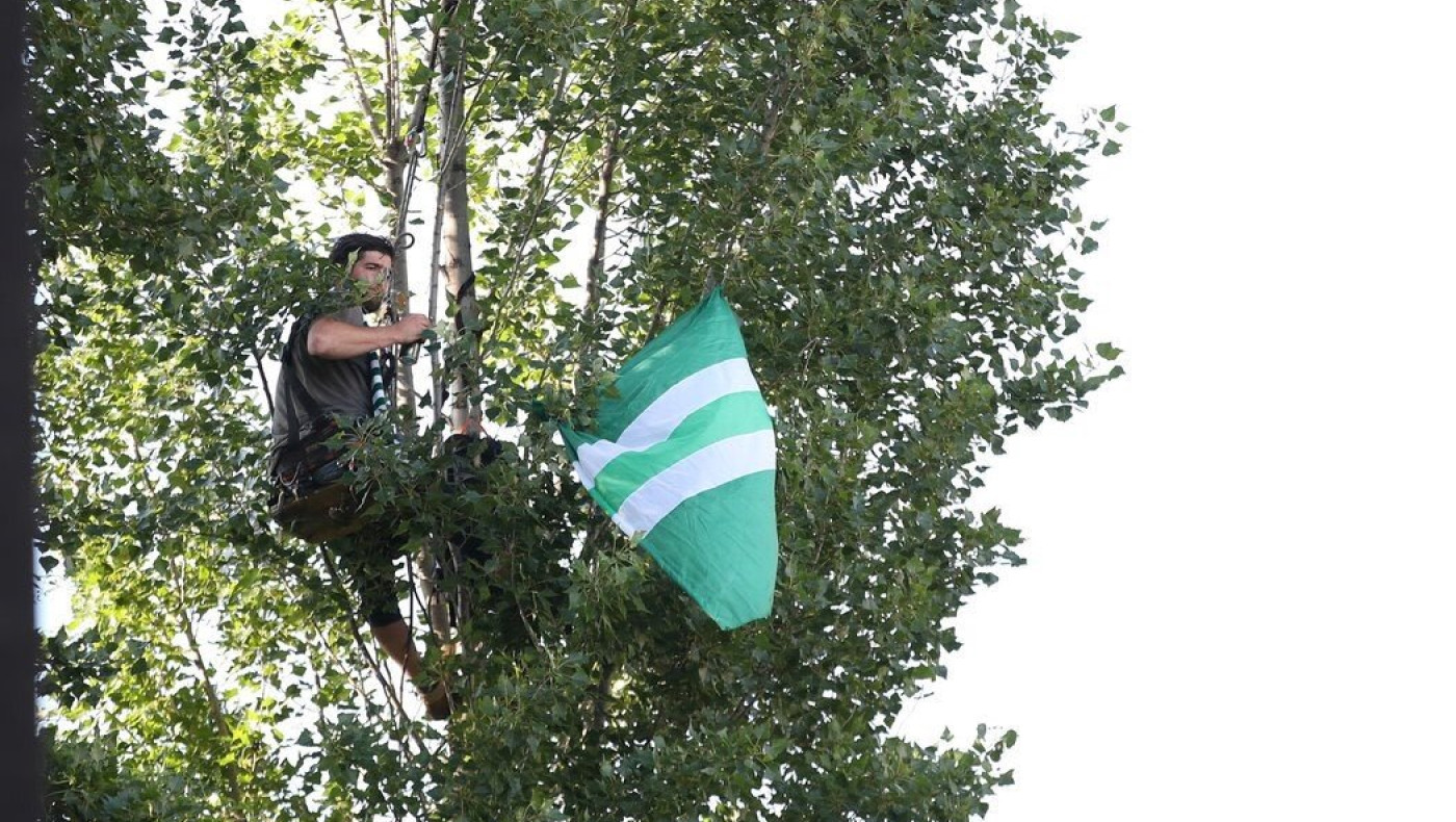 ΑΠΙΣΤΕΥΤΟ: Οπαδός ανέβηκε σε δέντρο για να δει την ομάδα του!