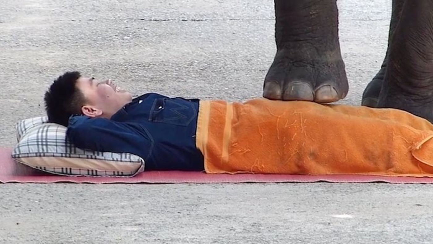 Χαλάρωστε με μασάζ από ελέφαντα 5,5 τόνων (video)