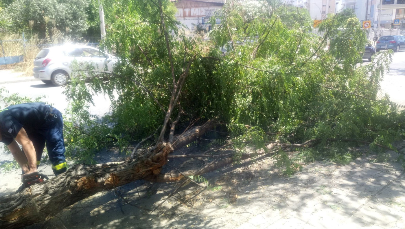 Δέντρο έπεσε στη Γεωργίου Παπανδρέου