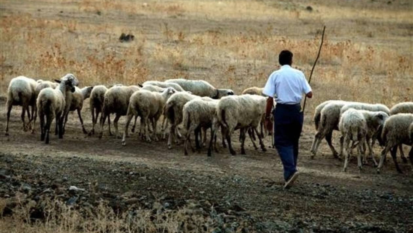 Βοσκός έμεινε 11 μήνες φυλακή για ηρωίνη που ήταν... αλεύρι