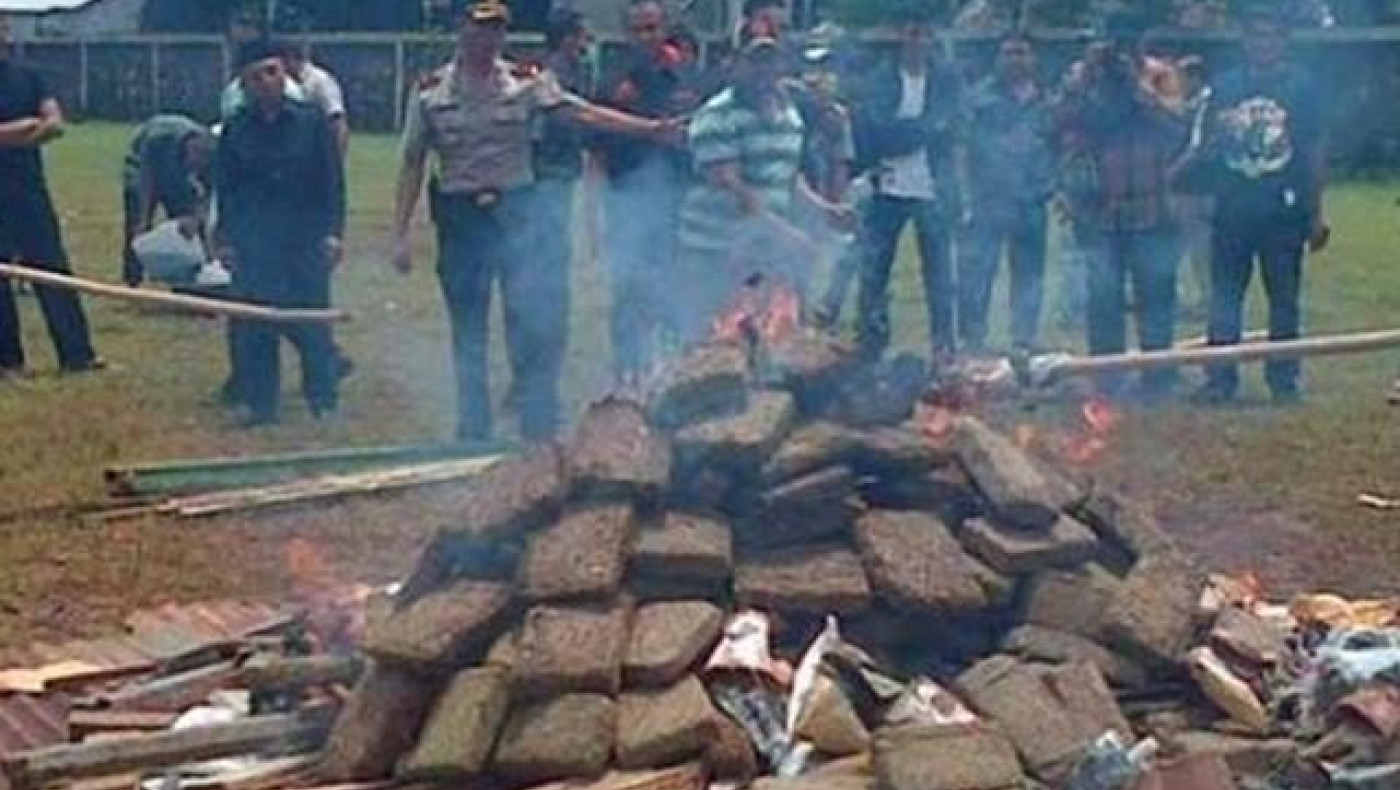 Έκαψαν τρεις τόνους κάνναβης και... μαστούρωσε ένα ολόκληρο χωριό!