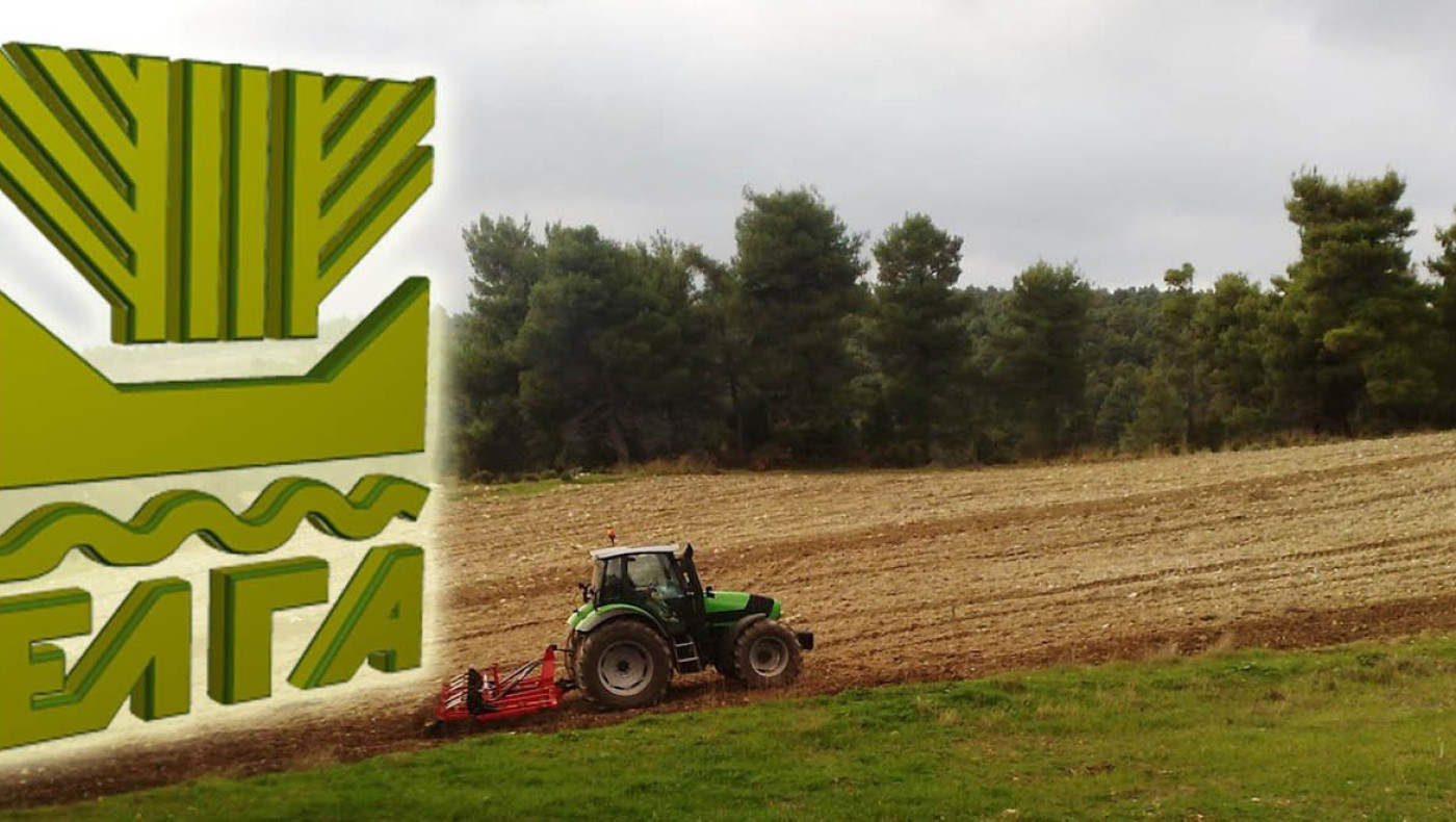 ΕΛΓΑ: Αποζημιώσεις ύψους 31,6 εκατ. ευρώ σε αγρότες και κτηνοτρόφους