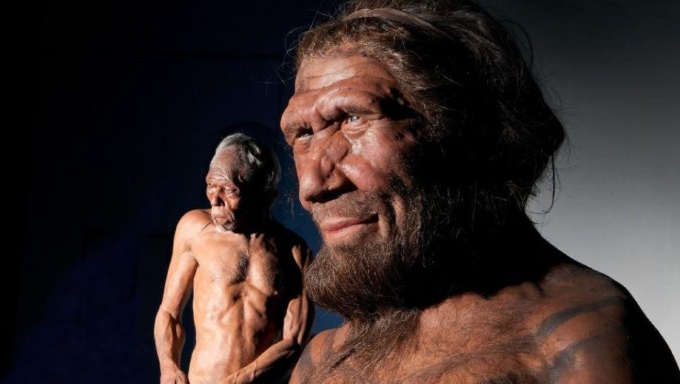 Έρευνα: Γονίδιο... κληρονομιά από τους Νεάντερταλ, προστατεύει από τον κορωνοϊό!