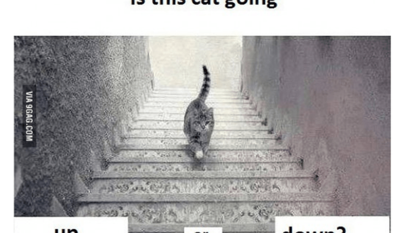 Γρίφος: Που πάει η γάτα; Πάνω ή κάτω; (pic)