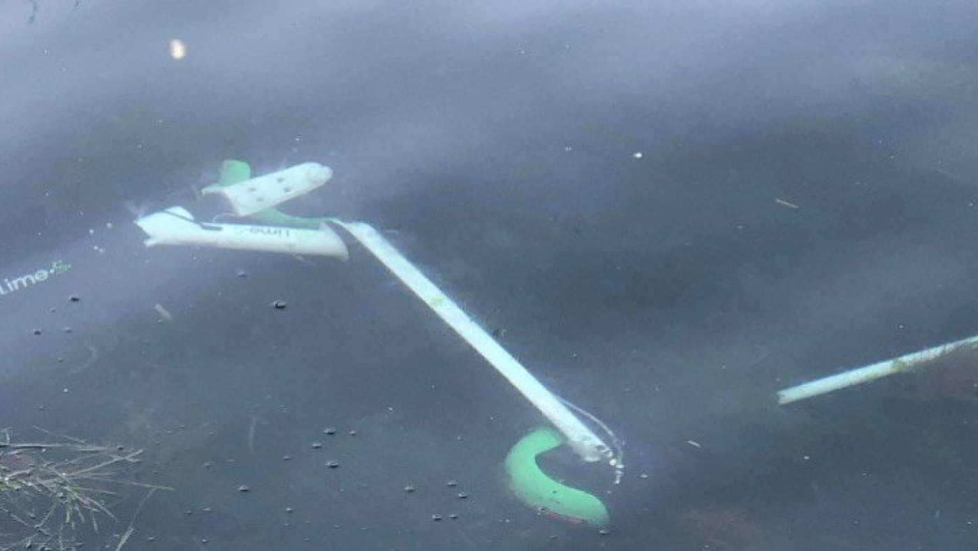 Θεσσαλονίκη: Επιχείρηση για την απομάκρυνση των πατινιών από τον Θερμαϊκό!