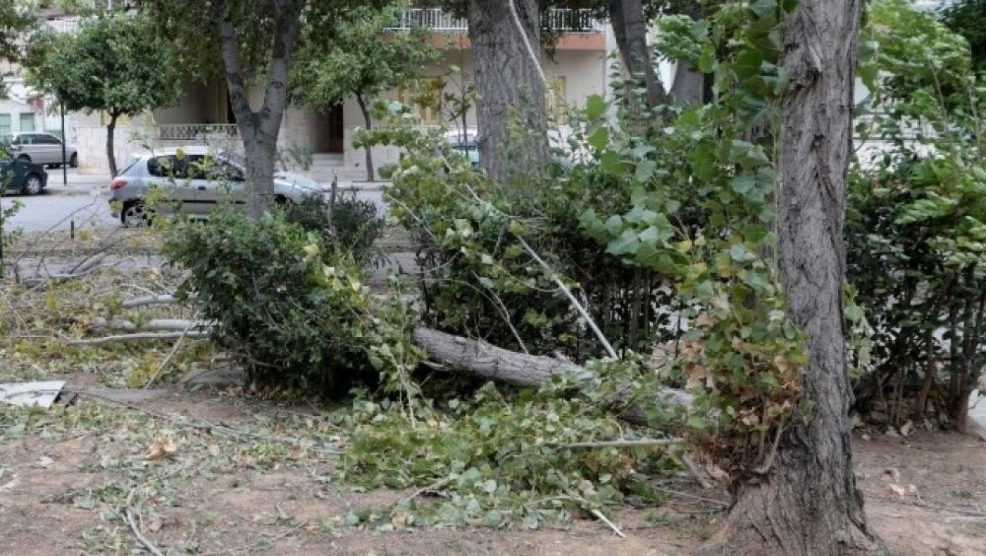 Δήμος Σερρών: Αποζημίωση 135.000 ευρώ για τον θάνατο άντρα από πτώση κλαδιού