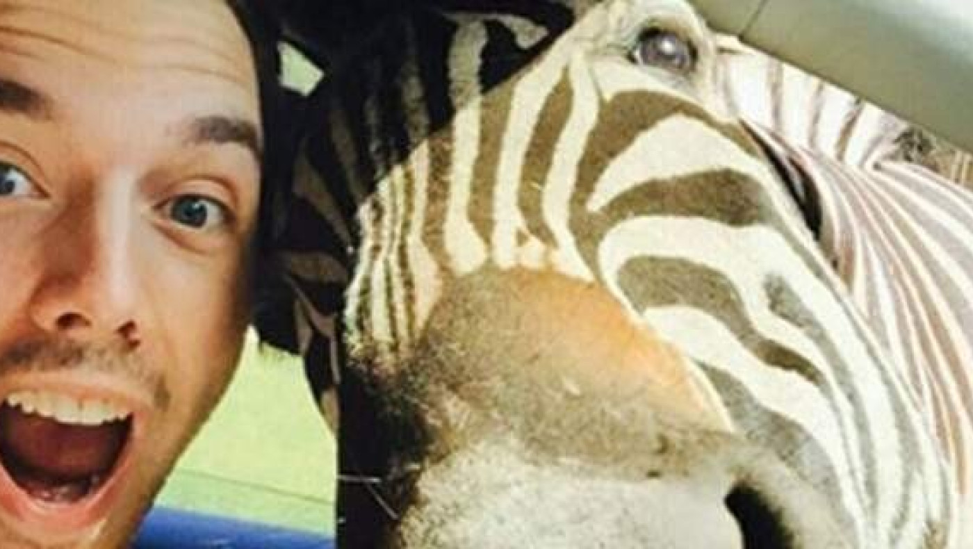 H viral selfie μίας ζέβρας! (pics)