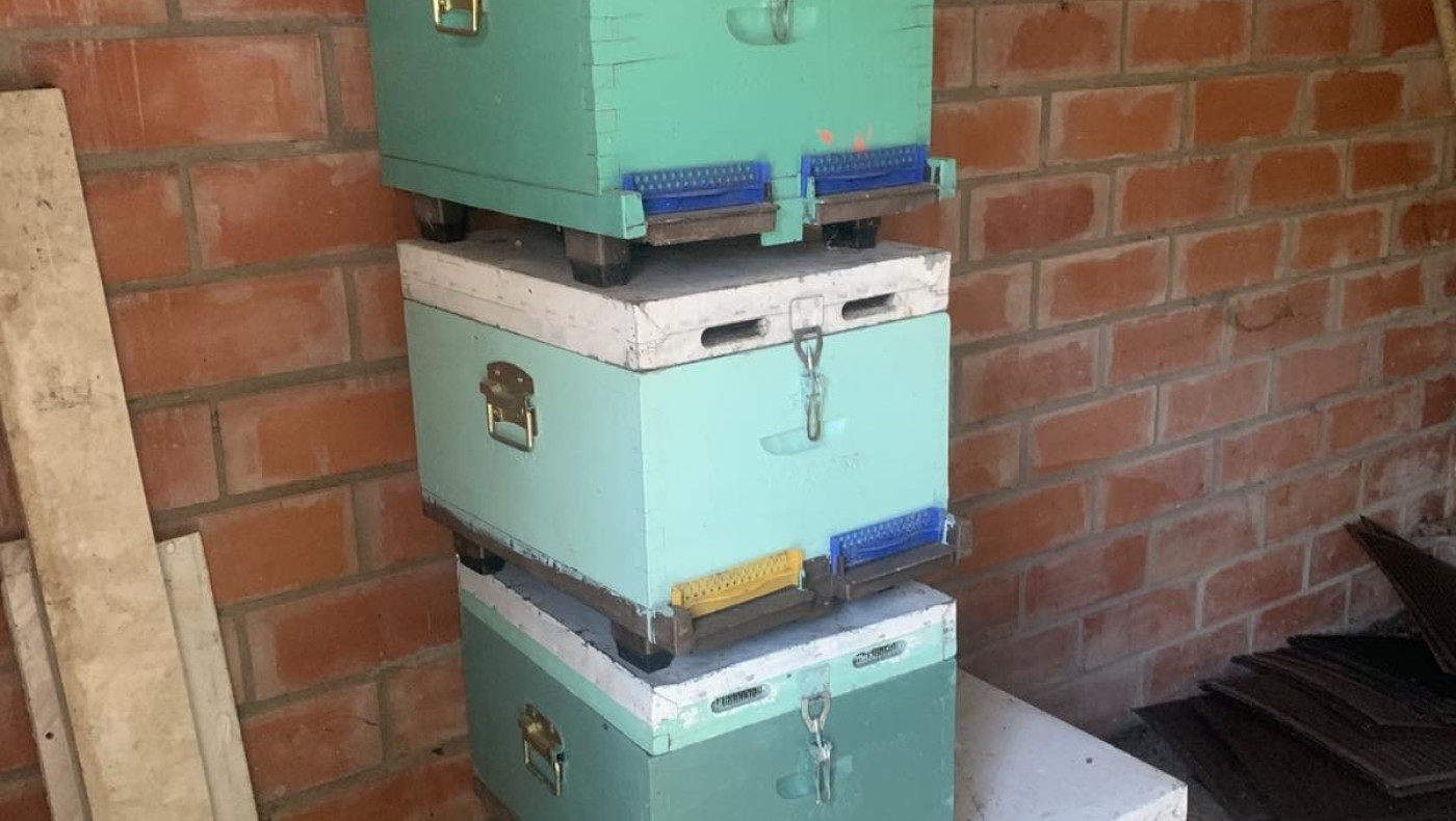 Θεσσαλονίκη: Έκλεψε 47 κυψέλες μελισσών και τις πήρε στο σπίτι του