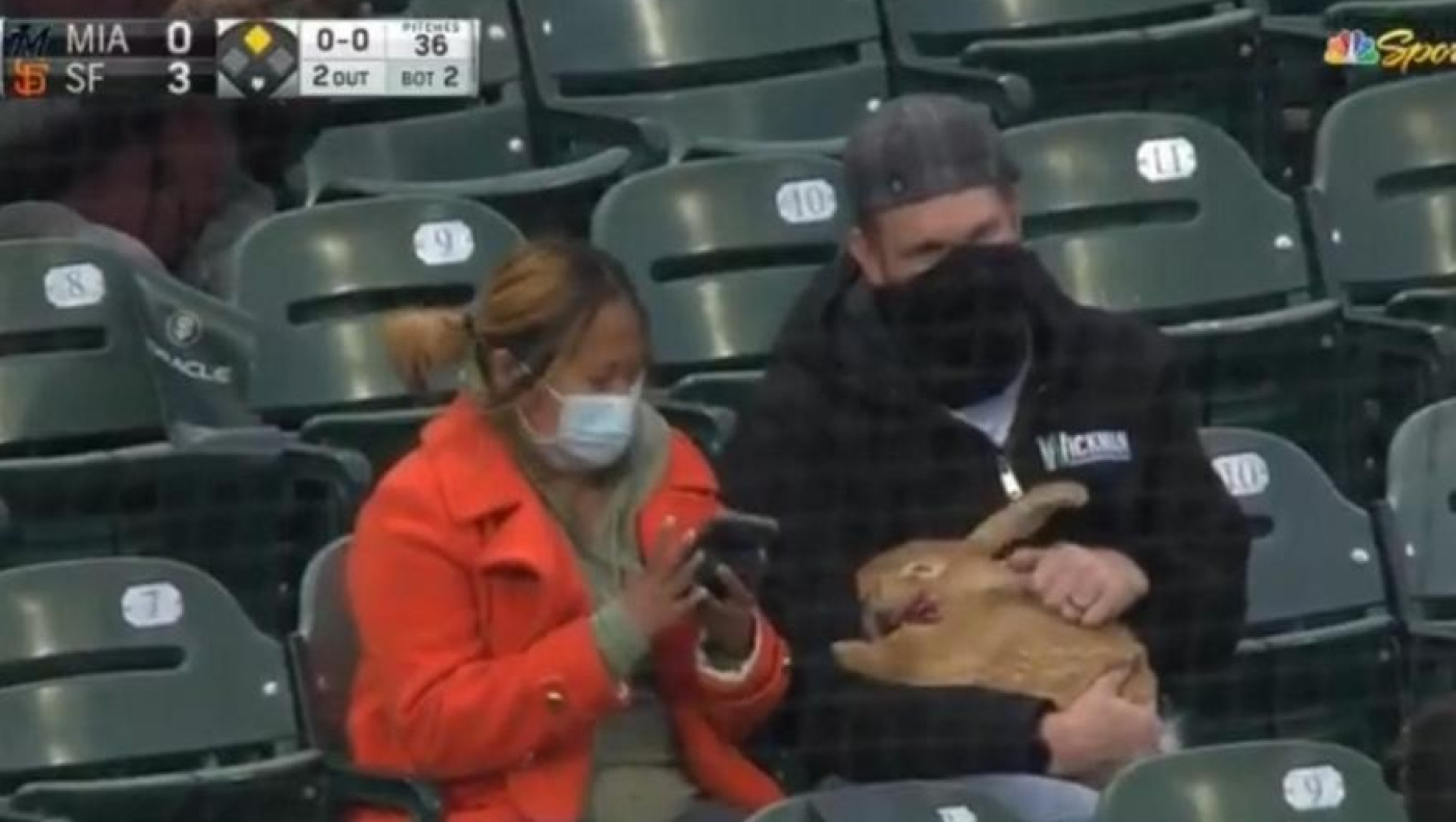 Πήγαν σε αγώνα μπέιζμπολ με το... κουνέλι τους