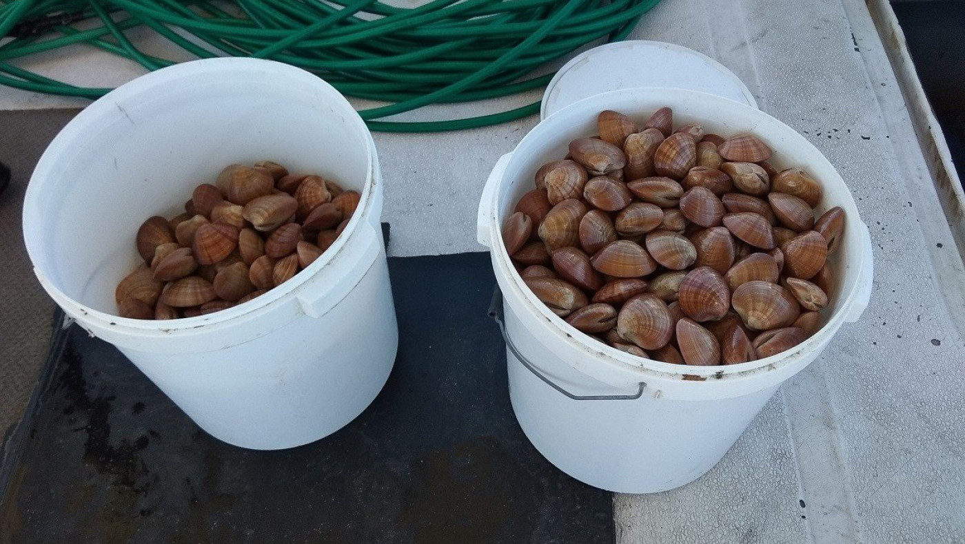 Χαλκιδική: Χειροπέδες σε δύο ψαράδες