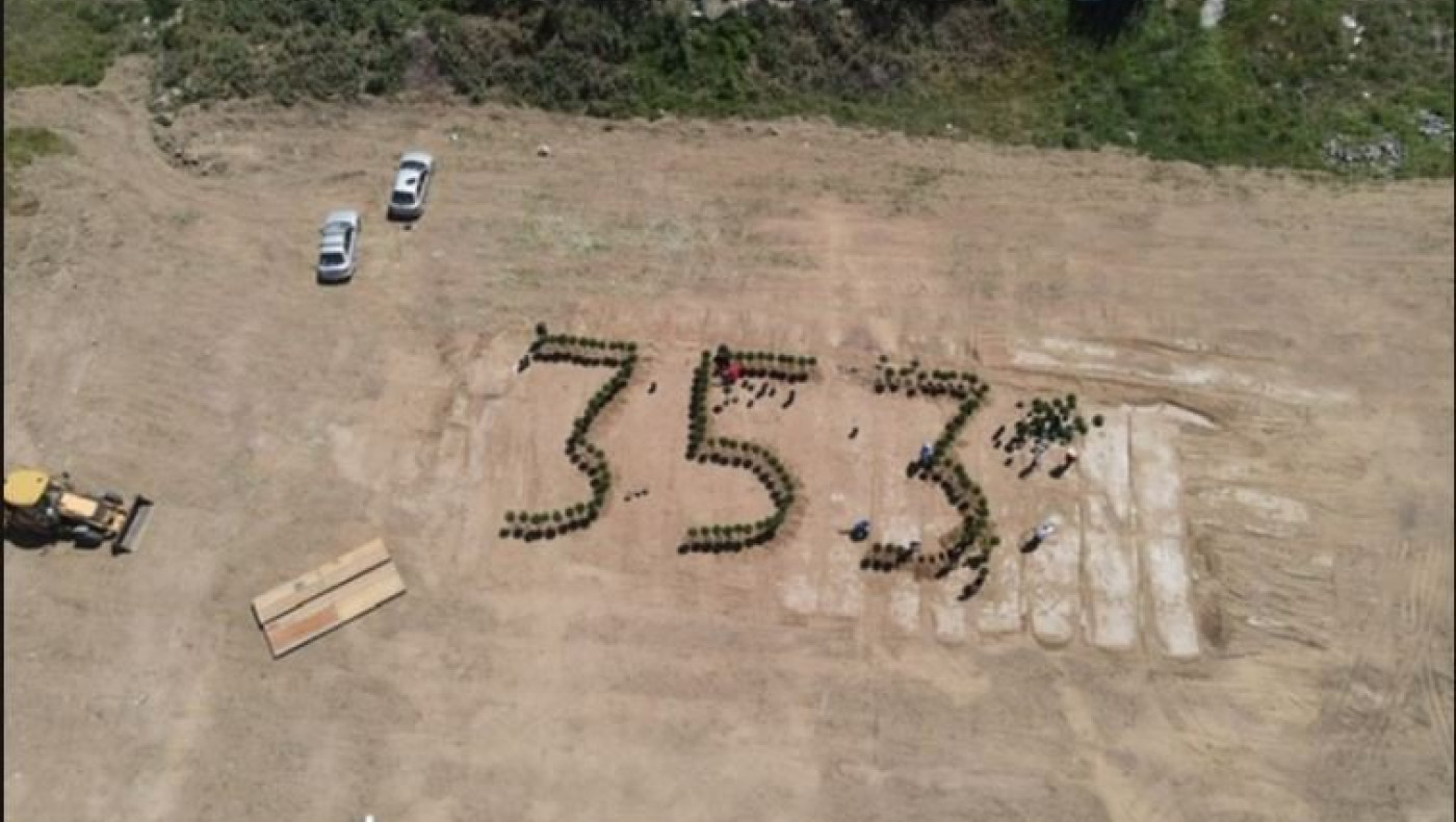 ΕΚΠΛΗΚΤΙΚΟ: Κυπαρίσσια με το «353» για τα θύματα της Γενοκτονίας των Ποντίων