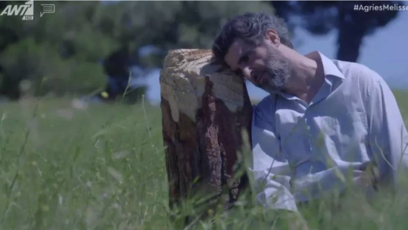 Άγριες Μέλισσες-τηλεθέαση: Το φινάλε του 2ου κύκλου διέλυσε τα κοντέρ