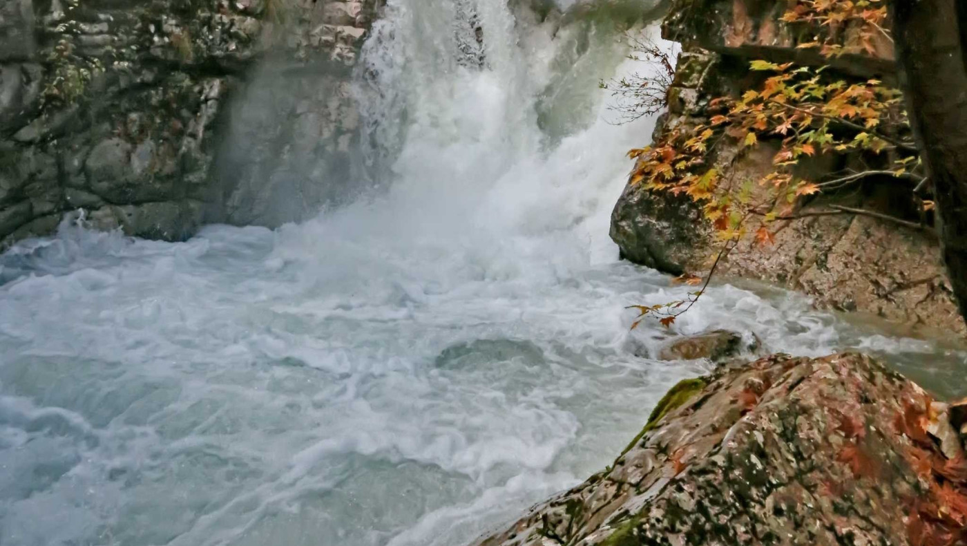 Τρίκαλα: Έριξαν το 1980 στον ποταμό αυτό το μπουκάλι και 41 χρόνια μετά το βρήκαν!