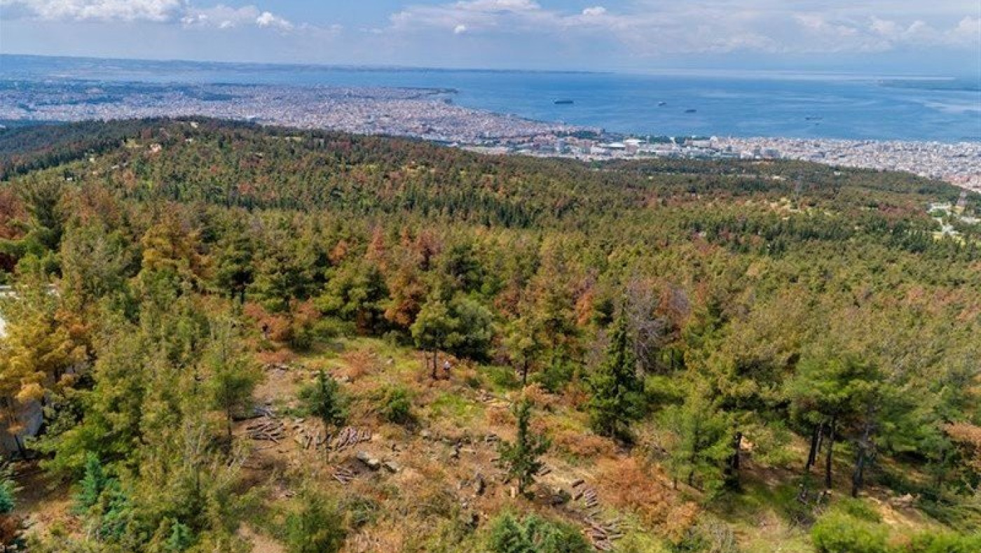 Σέιχ Σου: Οι αντιδράσεις Καϊτεζίδη-Δανιηλίδη έφεραν το Χαρδαλιά στη Θεσσαλονίκη