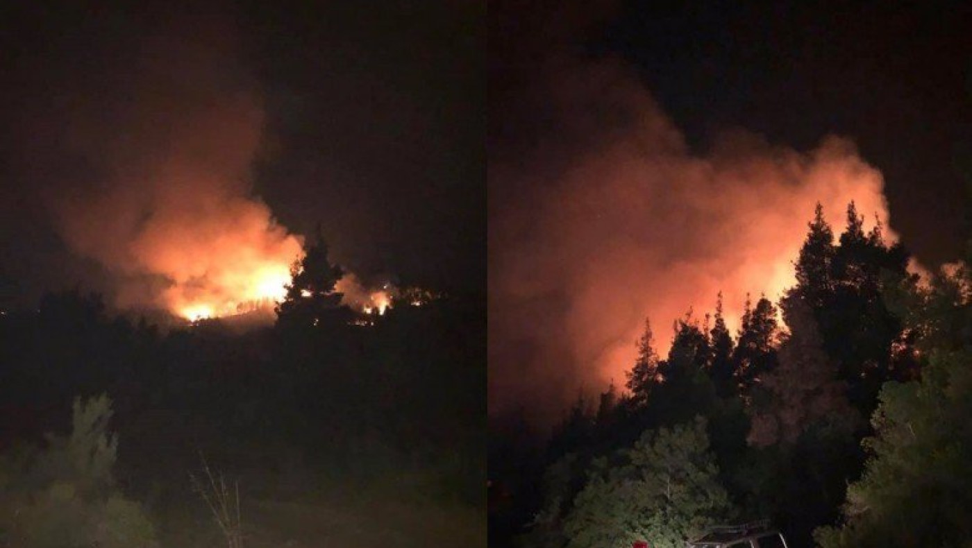 Δασική πυρκαγιά στον Παρθενώνα Χαλκιδικής