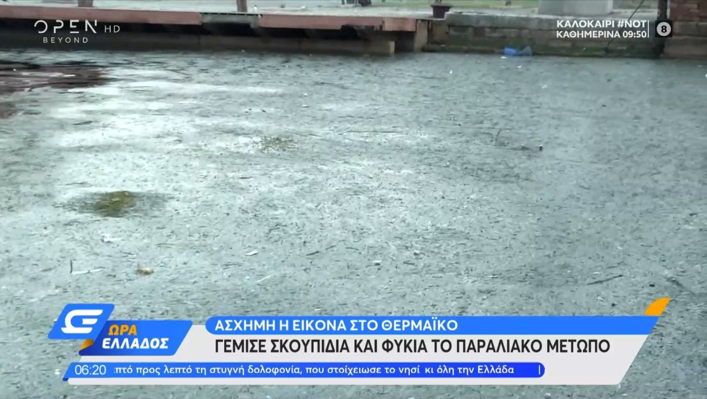 Θερμαϊκός: Γέμισε σκουπίδια και φύκια το παραλιακό μέτωπο!