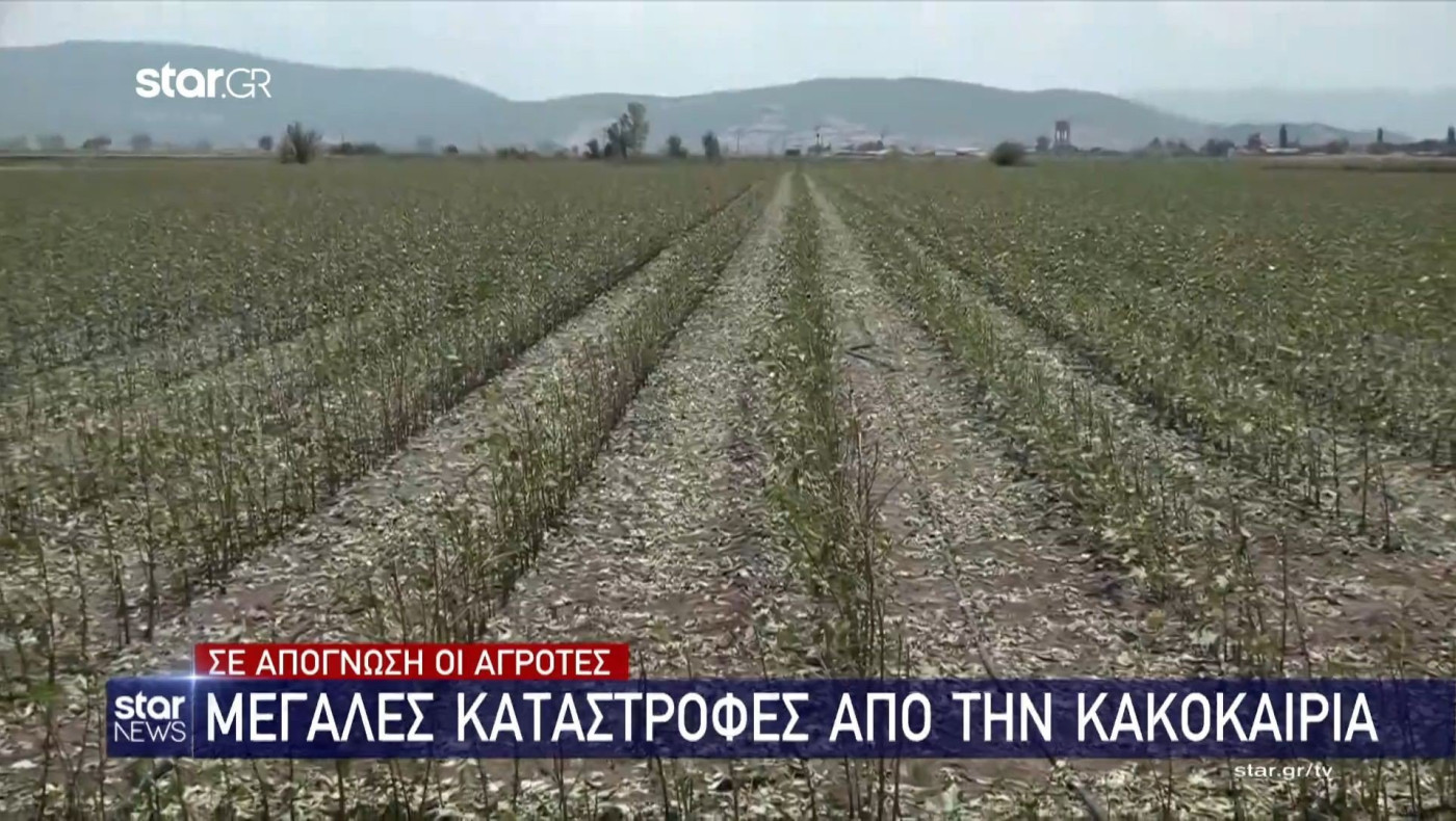 Βόρεια Ελλάδα: Μεγάλες καταστροφές από την κακοκαιρία - Σε απόγνωση οι αγρότες