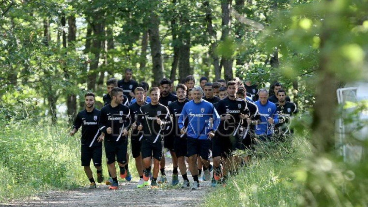 Πρωινό τρέξιμο στο δάσος (video)