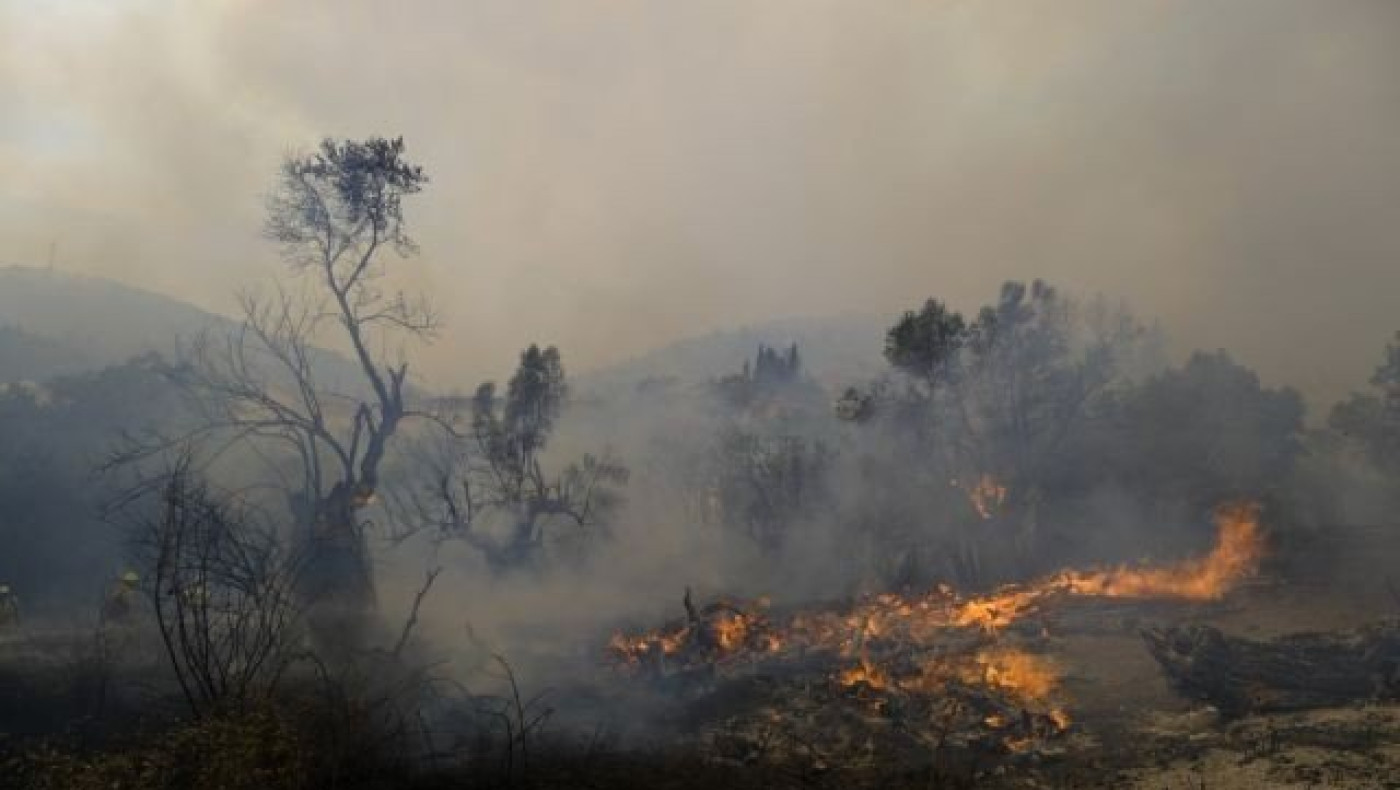 Λέκκας – Περίπου 500.000 στρέμματα καταστράφηκαν