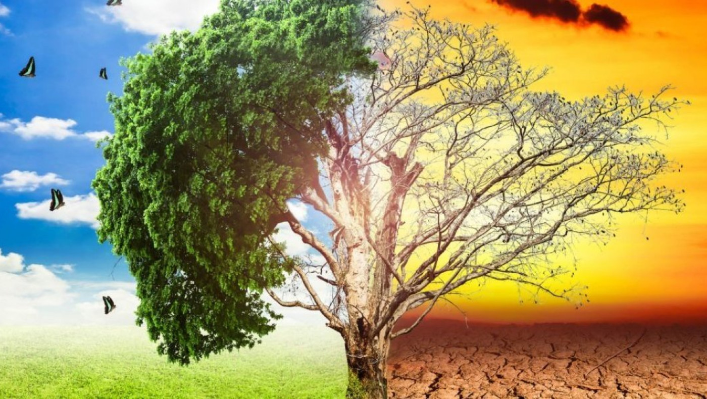 Κλιματική αλλαγή: «Αύξηση της ξηρασίας τα επόμενα χρόνια στην Ελλάδα»-Ποιες περιοχές απειλούνται