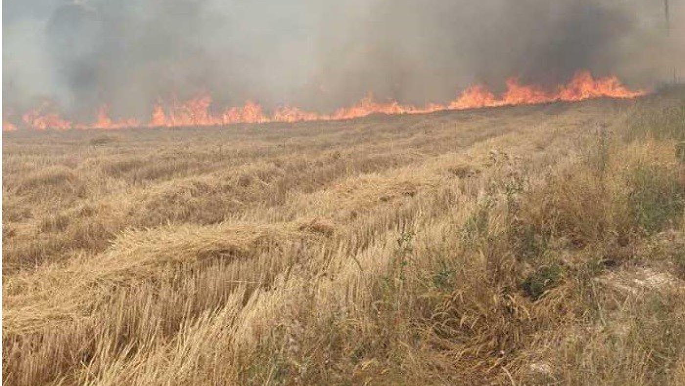 Συγκλονιστική μαρτυρία: «Δεν λάβαμε μήνυμα από την Πολιτική Προστασία - Οι φλόγες έφτασαν μέχρι την παραλία»