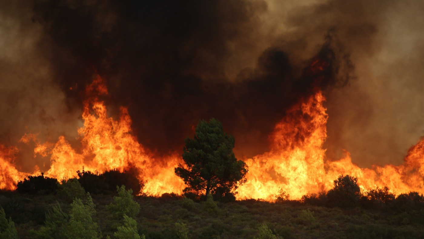 Πυρκαγιές: Σπάνε ρεκόρ οι εκτάσεις των καμένων δασών φέτος στην Ευρώπη