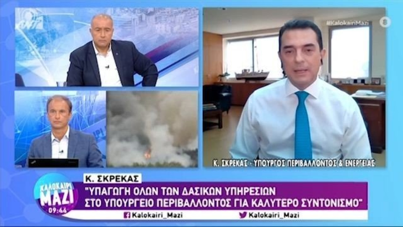 Σκρέκας: Κηρύσσονται αναδασωτέες μέσα σε 30 ημέρες οι περιοχές που κάηκαν