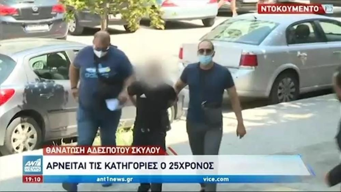 Βίντεο σοκ από την άγρια θανάτωση σκυλιού στη Θεσσαλονίκη