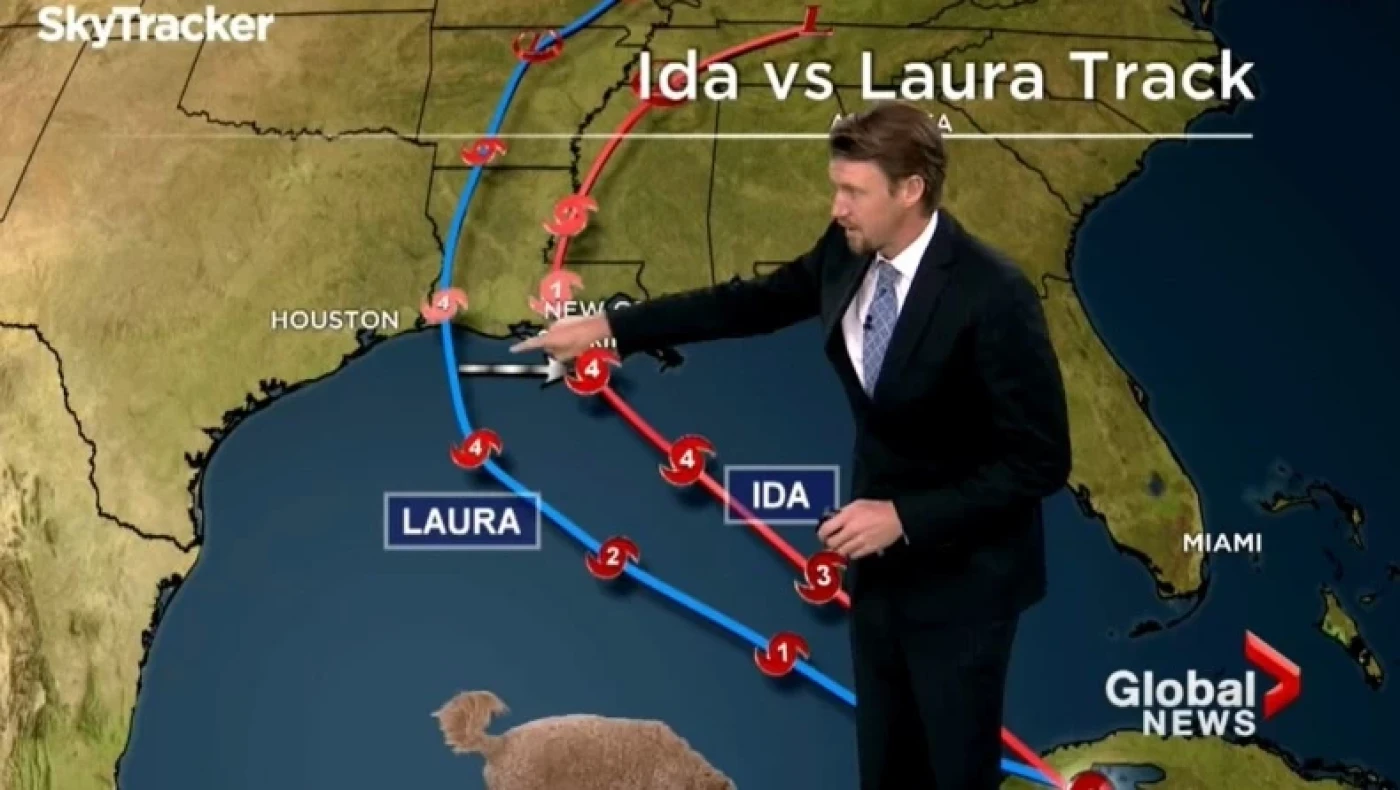 Απίστευτο: «Ντου» σκύλου on air σε δελτίο καιρού