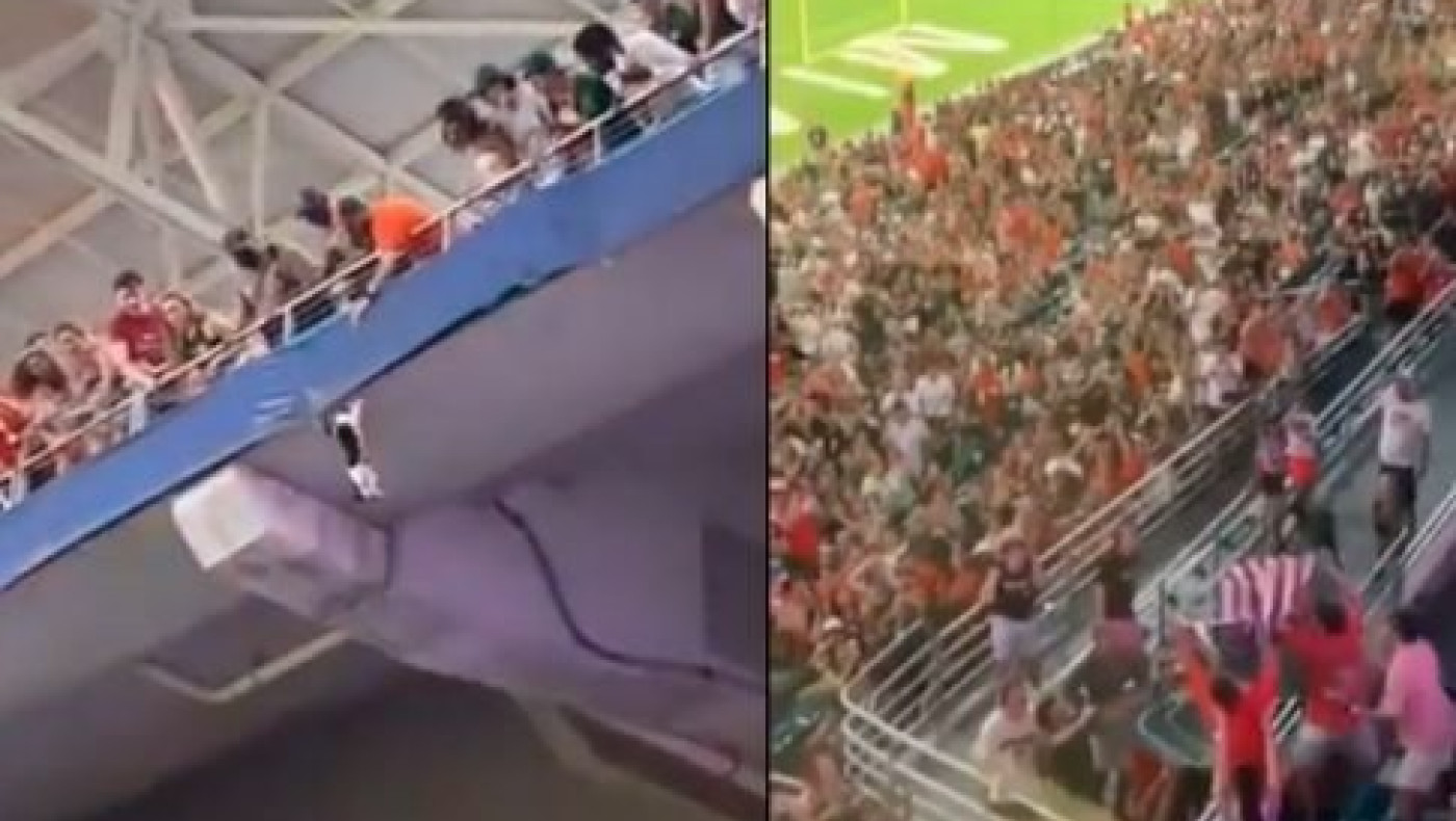 ΤΡΟΜΕΡΟ: Γάτα έκανε μονόζυγο σε αγώνα, αλλά... σώθηκε!