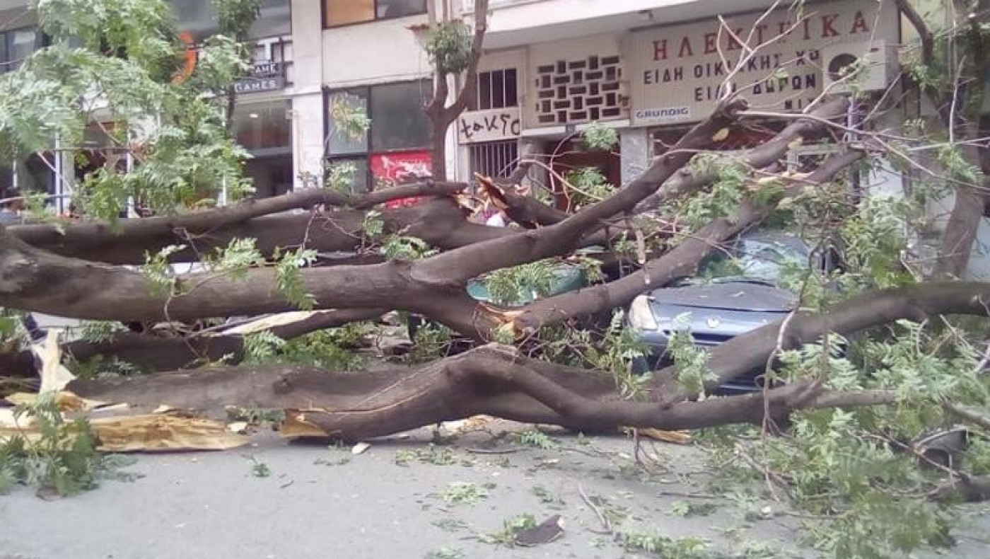 Θεσσαλονίκη: Πτώσεις δέντρων σε οχήματα από τους ισχυρούς ανέμους τα ξημερώματα